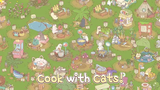 cats & soup